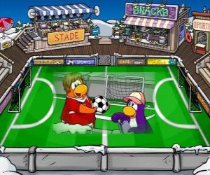 yapboz Futbol oyunu Club Penguin
